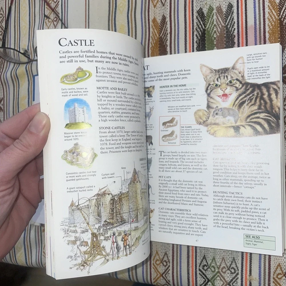 Concise Children's Encyclopedia by Editors of‎ Kingfisher (2001, Hardcover)